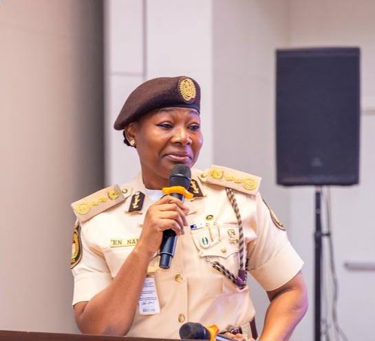 NIS suspends senior officers over extortion allegations at Lagos-Seme border 